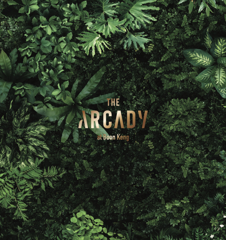 ARCADY-01